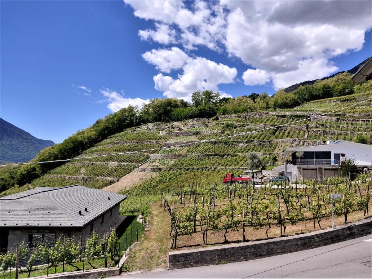 B&B Il Germoglio Castione Andevenno ภายนอก รูปภาพ